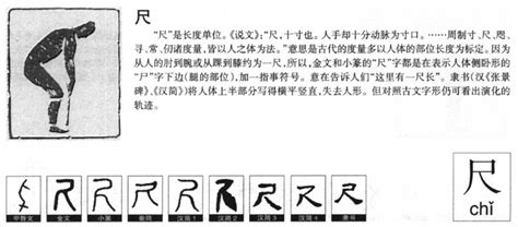 尺 字|尺的字源字形